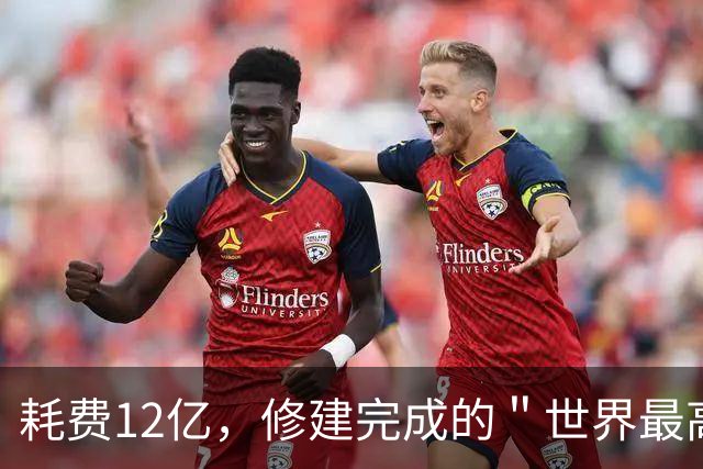 耗费12亿，修建完成的＂世界最高佛＂，如今却拜不起，水喝不起